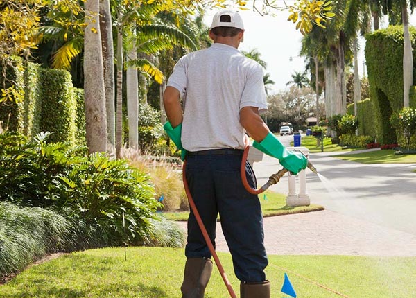 About Republican City NE Pest Control